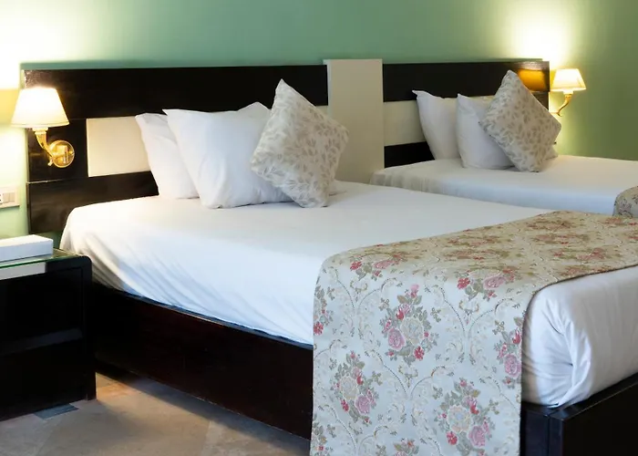 Moreno & Hotel